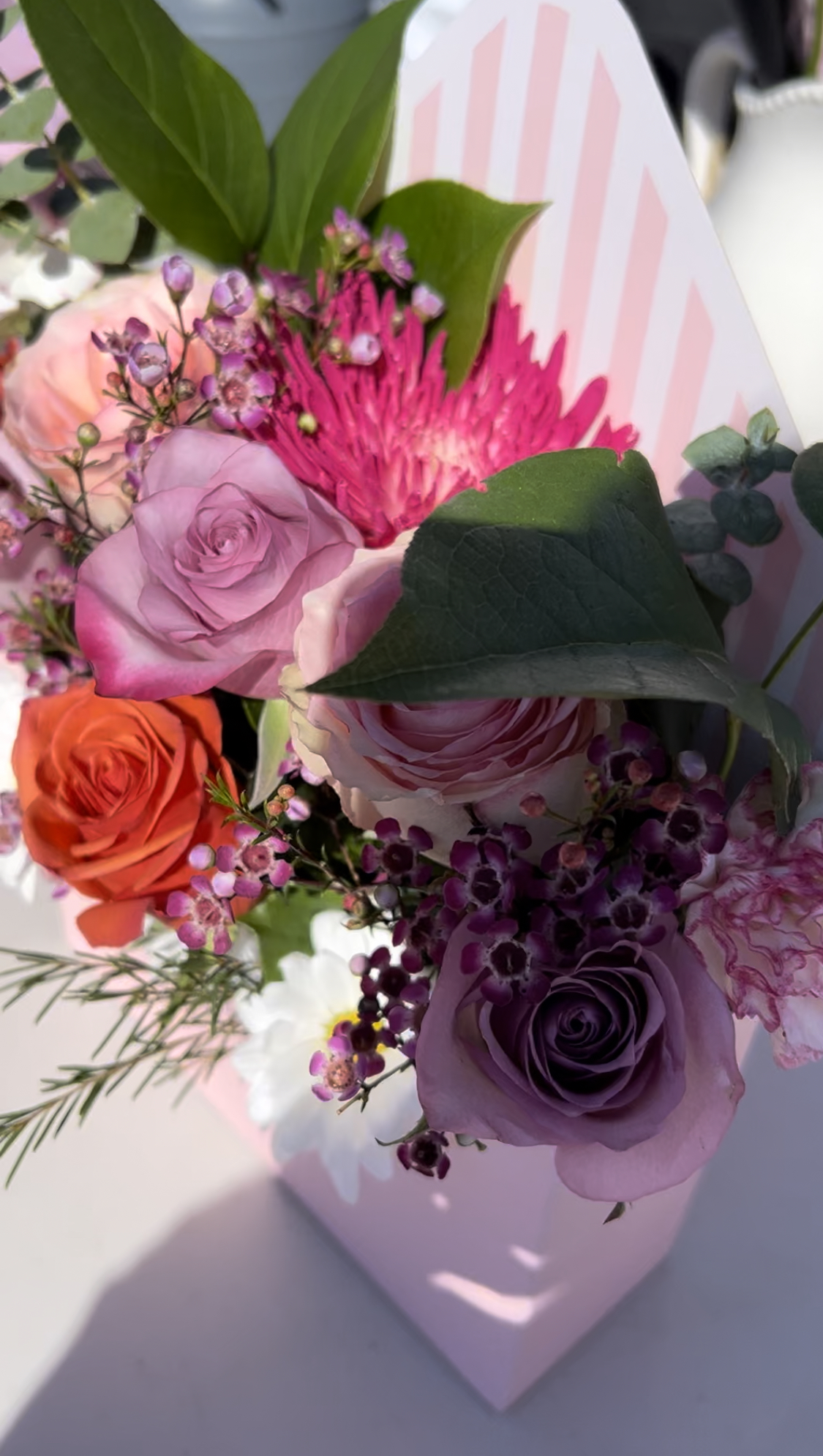 3e42937b-b909-417a-91a3-a7b1e1e67f9e