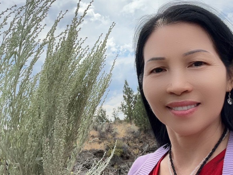 拜访冥王星洞，穿越时空之门（三）【雪士达山疗愈之旅 11】——冥王星洞外的白鼠尾草，既是物质界的礼物，也是高维能量的信使