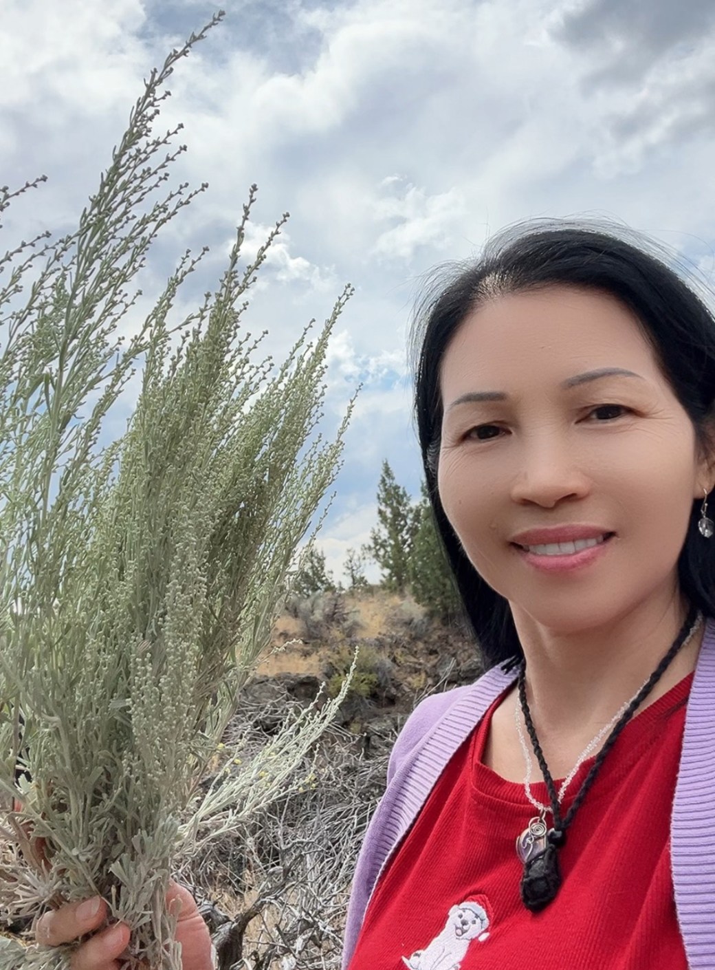 拜访冥王星洞，穿越时空之门（三）【雪士达山疗愈之旅 11】——冥王星洞外的白鼠尾草，既是物质界的礼物，也是高维能量的信使