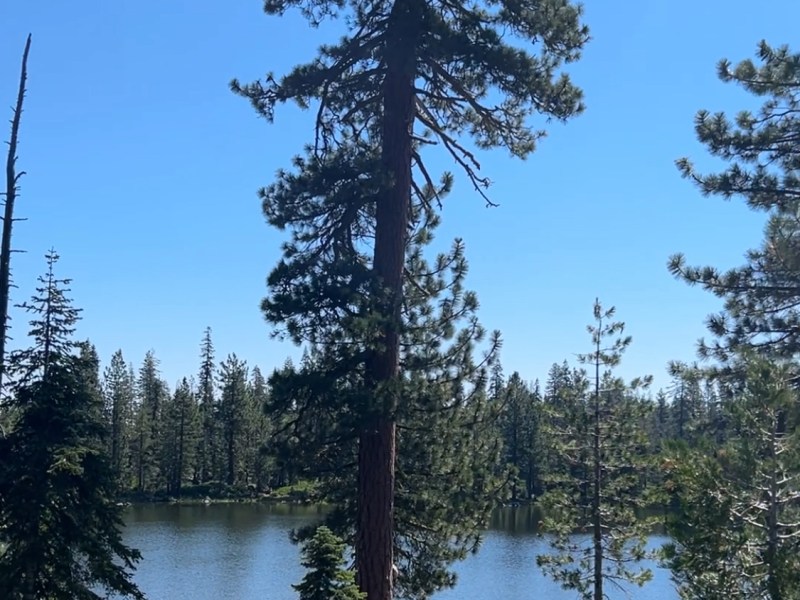 甘布湖泊，星辰之泪（一）【雪士达山疗愈之旅 24】——你与甘布湖的缘分是古老灵魂契约的兑现，这次相遇标志着你的地球任务进入了新的阶段