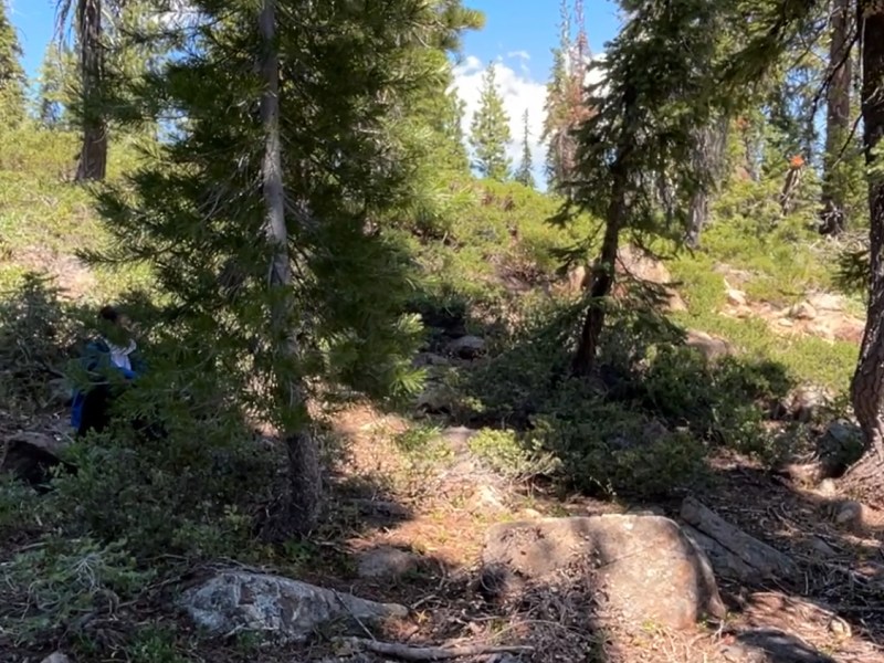 甘布湖泊，星辰之泪（三）【雪士达山疗愈之旅 26】——印第安部落能量点冥想，神圣同步性揭示灵性奥秘