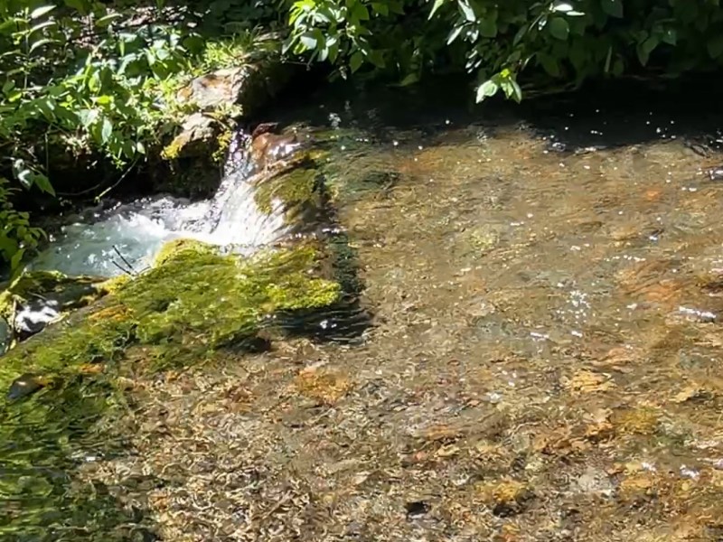 无声溪流的疗愈能量，是玉石神庙的神圣火焰【雪士达山疗愈之旅 29】——你聆听的每一声溪流寂静，实为你灵魂永恒吟唱的宇宙回音