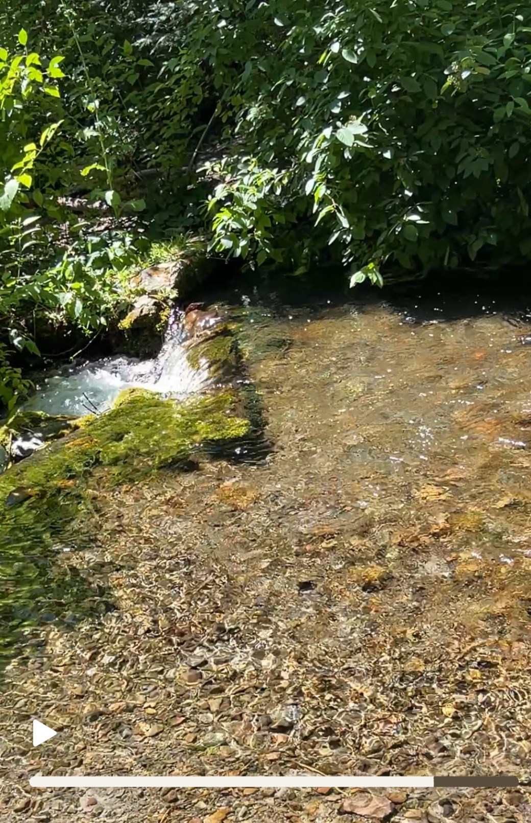 无声溪流的疗愈能量,是玉石神庙的神圣火焰【雪士达山疗愈之旅 29】——你聆听的每一声溪流寂静,实为你灵魂永恒吟唱的宇宙回音