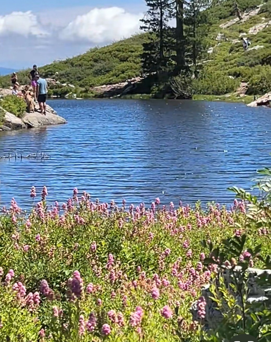 城堡湖与心湖,爱之疗愈矩阵(二)【雪士达山疗愈之旅 36】——真正的奇迹并非湖呈心形,而是你总能在无常表象中认出永恒之爱的签名