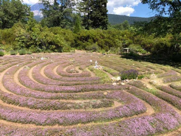 和平花园的薰衣草香，是强大的神圣能量（一）【雪士达山疗愈之旅 63】——内心的平静是通往世界和平的桥梁