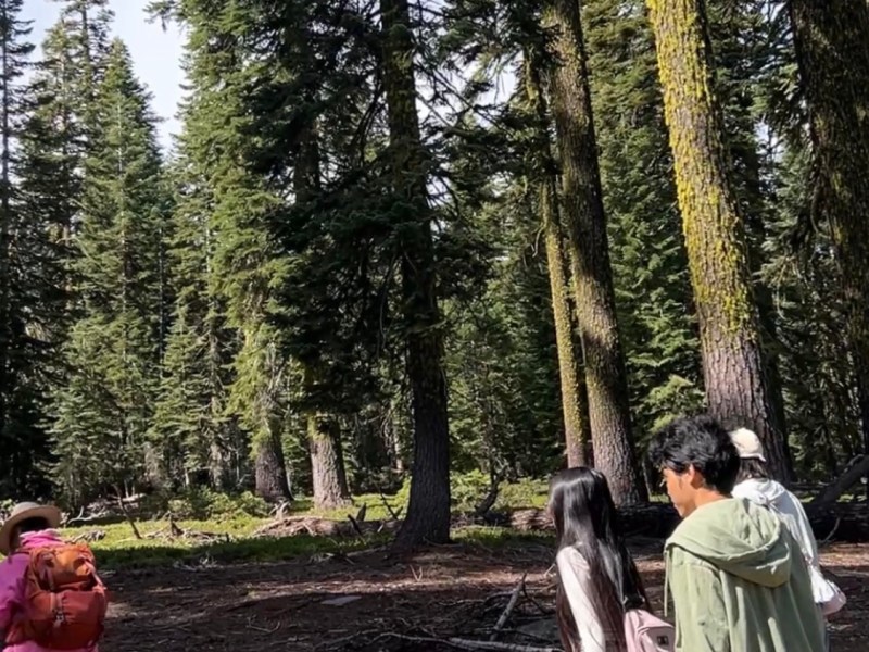 拜访扬升大石，穿越光之门户（一）【雪士达山疗愈之旅 61】——扬升大石是地心泰勒斯城的扬升神庙实体的所在地，是雪士达山最神圣的地方之一