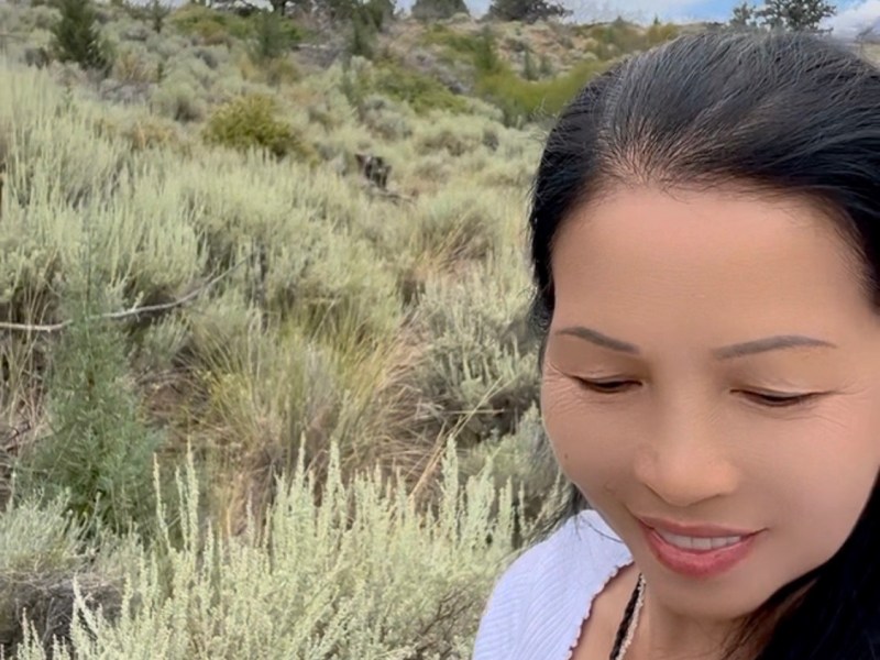 雪蔕娜湖畔，采摘鼠尾草（二）【雪士达山疗愈之旅（67】——鼠尾草是一种具有极高灵性觉知的植物，它的能量签名是净化、清晰与智慧