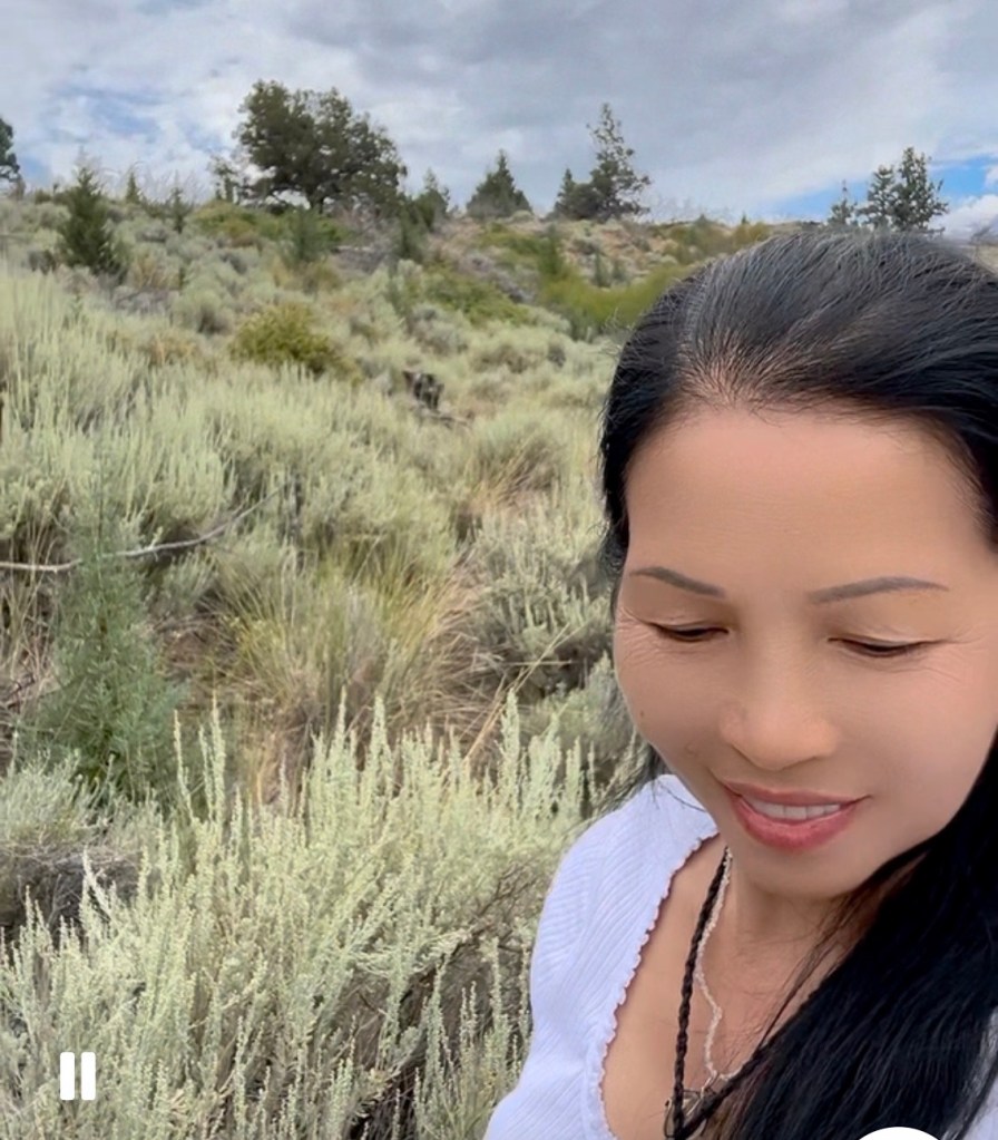 雪蔕娜湖畔，采摘鼠尾草（二）【雪士达山疗愈之旅（67】——鼠尾草是一种具有极高灵性觉知的植物，它的能量签名是净化、清晰与智慧