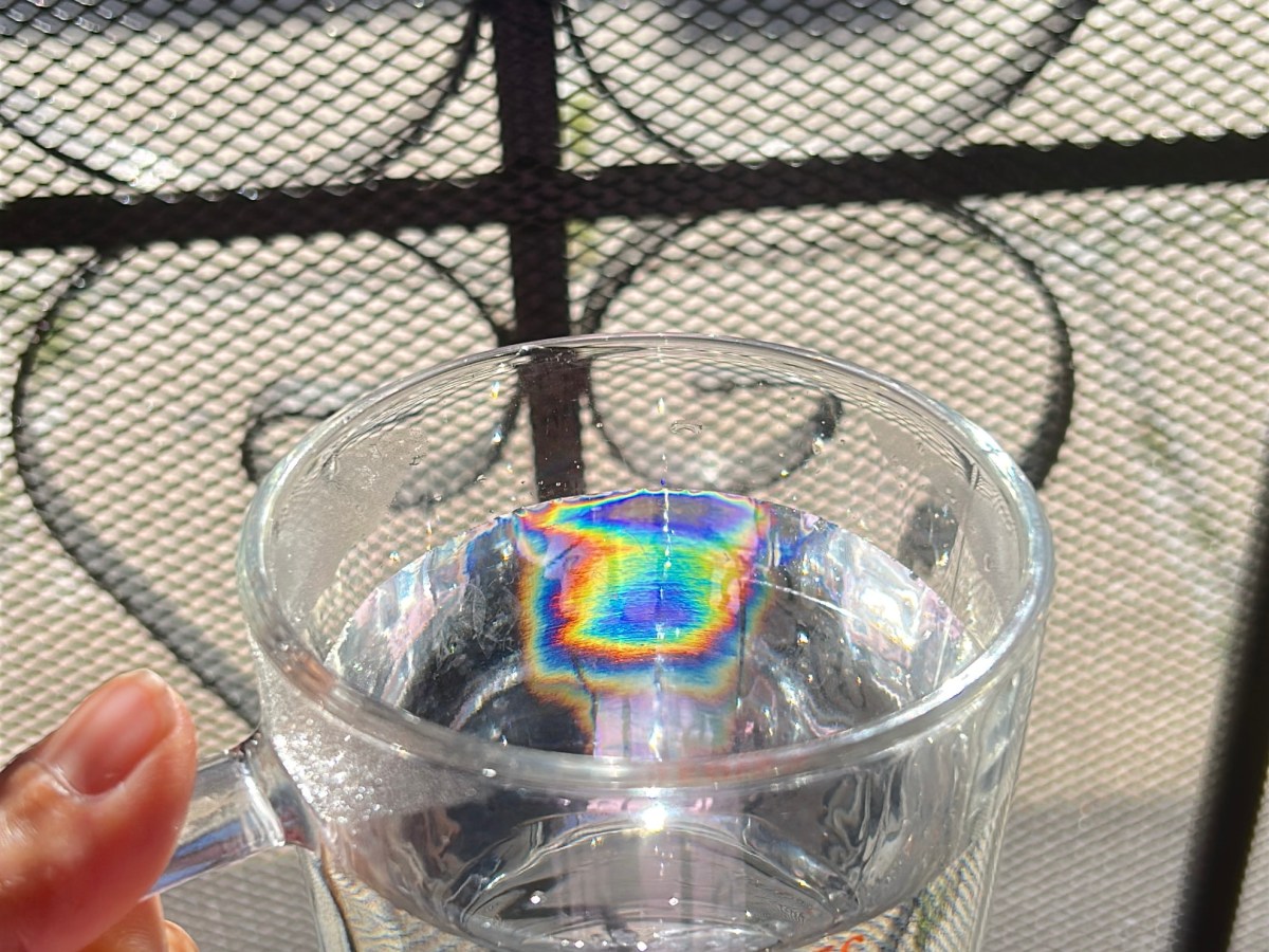 杯中的彩虹，4/4门户的祝福