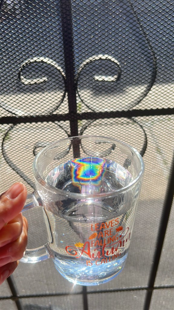 杯中的彩虹，4/4门户的祝福