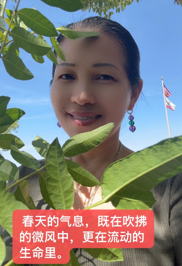 忙碌的妯娌，请求再次疗愈